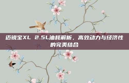 迈锐宝XL 2.5L油耗解析,高效动力与经济性的完美结合