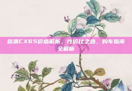 骏派CX65价格解析,性价比之选,购车指南全解析