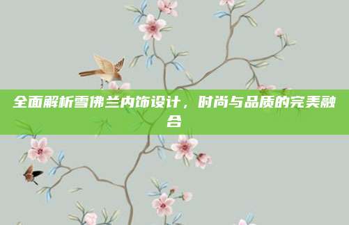 全面解析雪佛兰内饰设计，时尚与品质的完美融合