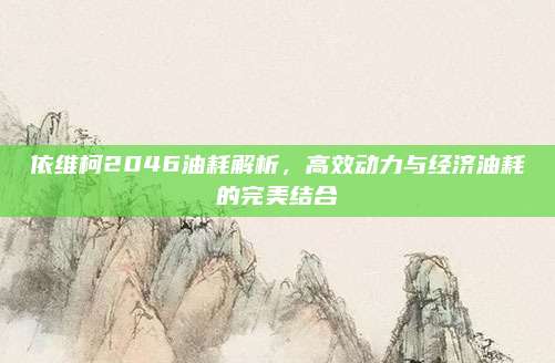 依维柯2046油耗解析,高效动力与经济油耗的完美结合