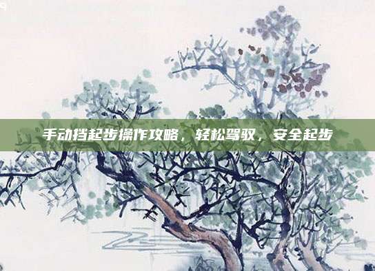 手动挡起步操作攻略,轻松驾驭,安全起步