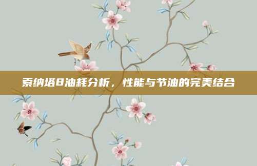 索纳塔8油耗分析,性能与节油的完美结合
