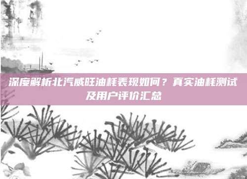 深度解析北汽威旺油耗表现如何？真实油耗测试及用户评价汇总