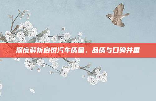 深度解析启悦汽车质量,品质与口碑并重