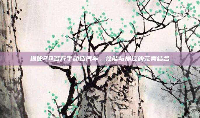 揭秘20多万手动挡汽车,性能与操控的完美结合