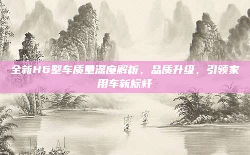 全新H6整车质量深度解析,品质升级,引领家用车新标杆