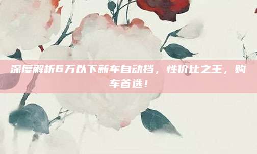 深度解析6万以下新车自动挡,性价比之王,购车首选!