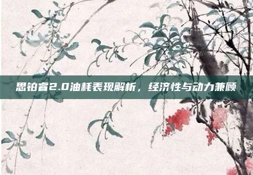 思铂睿2.0油耗表现解析,经济性与动力兼顾