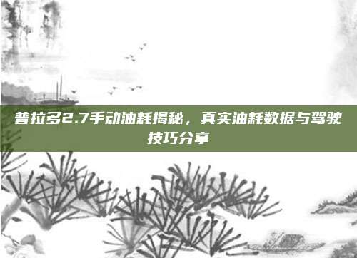 普拉多2.7手动油耗揭秘,真实油耗数据与驾驶技巧分享