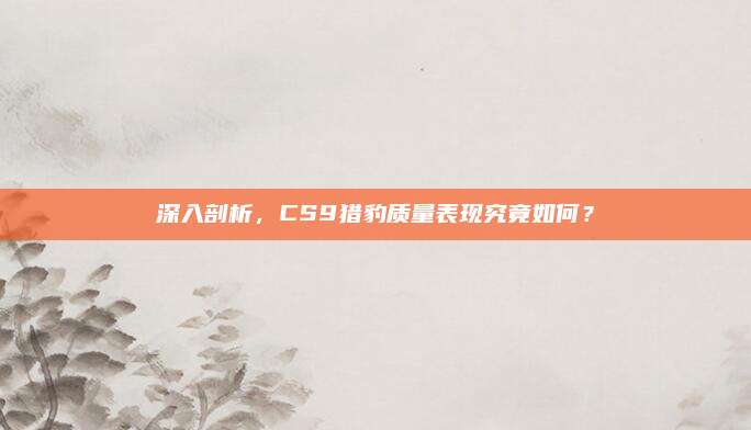 深入剖析,CS9猎豹质量表现究竟如何?