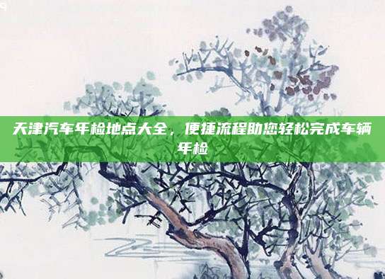 天津汽车年检地点大全,便捷流程助您轻松完成车辆年检
