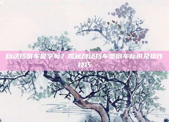 自动挡倒车是字母？揭秘自动挡车型倒车标识及操作技巧