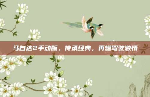 马自达2手动版，传承经典，再燃驾驶激情