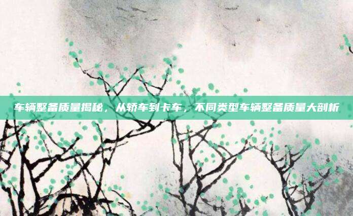 车辆整备质量揭秘,从轿车到卡车,不同类型车辆整备质量大剖析