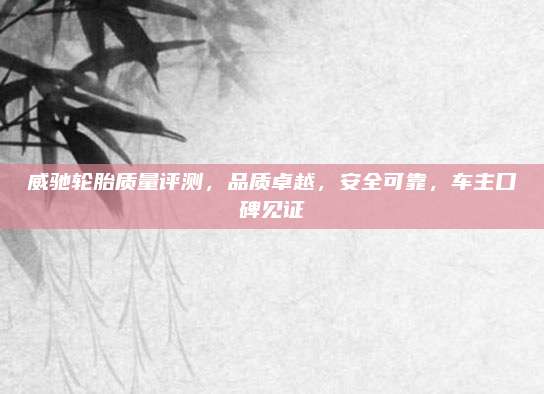 威驰轮胎质量评测，品质卓越，安全可靠，车主口碑见证
