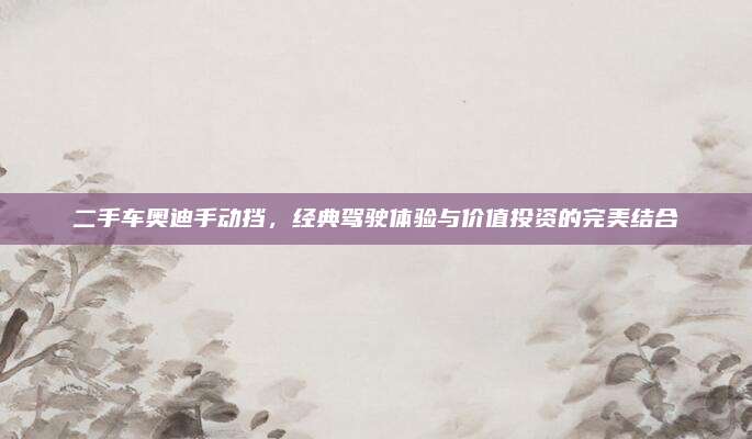 二手车奥迪手动挡，经典驾驶体验与价值投资的完美结合