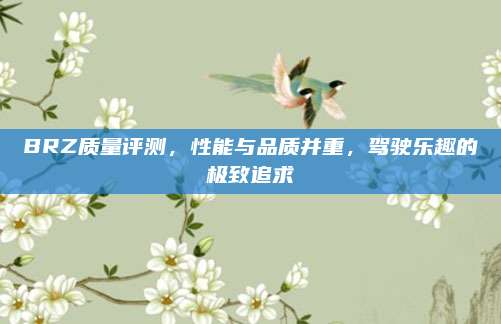 BRZ质量评测，性能与品质并重，驾驶乐趣的极致追求