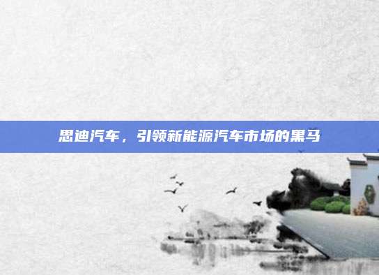 思迪汽车，引领新能源汽车市场的黑马