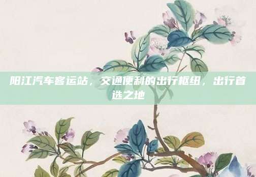 阳江汽车客运站,交通便利的出行枢纽,出行首选之地