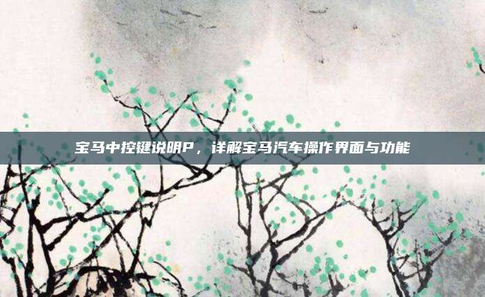 宝马中控键说明P，详解宝马汽车操作界面与功能