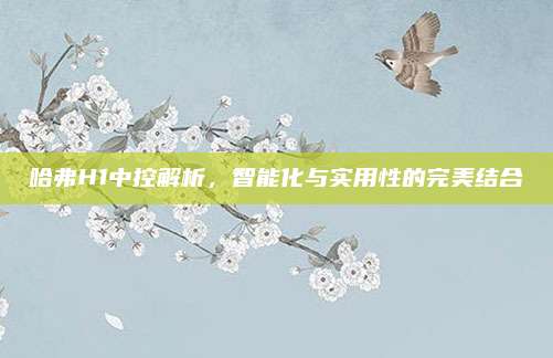 哈弗H1中控解析，智能化与实用性的完美结合