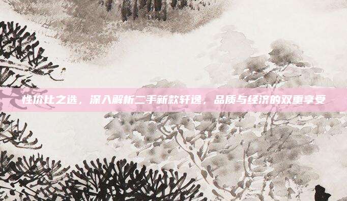 性价比之选，深入解析二手新款轩逸，品质与经济的双重享受