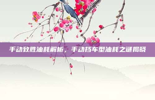 手动致胜油耗解析，手动挡车型油耗之谜揭晓