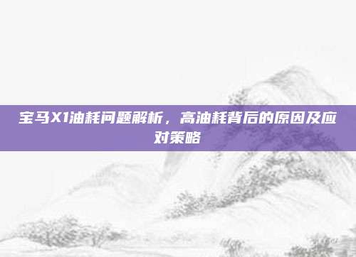 宝马X1油耗问题解析，高油耗背后的原因及应对策略