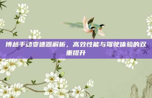 博越手动变速器解析，高效性能与驾驶体验的双重提升