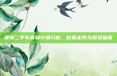 澳洲二手车市场行情分析，价格走势与投资指南