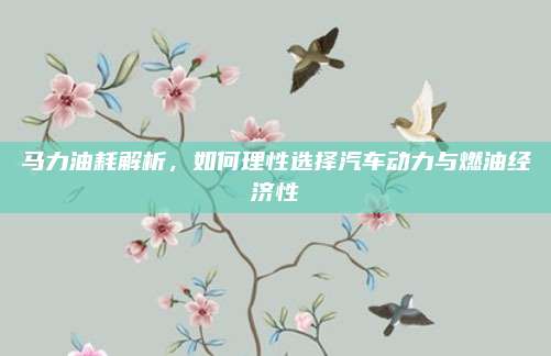 马力油耗解析，如何理性选择汽车动力与燃油经济性