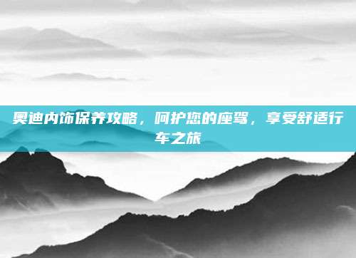 奥迪内饰保养攻略，呵护您的座驾，享受舒适行车之旅