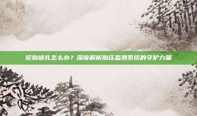 轮胎被扎怎么办？深度解析胎压监测系统的守护力量
