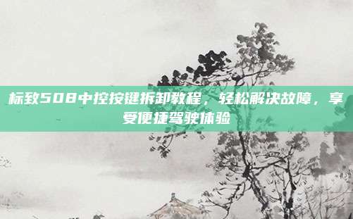 标致508中控按键拆卸教程，轻松解决故障，享受便捷驾驶体验