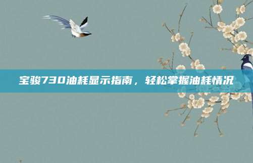 宝骏730油耗显示指南，轻松掌握油耗情况