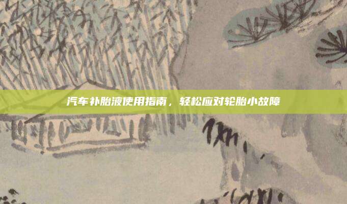 汽车补胎液使用指南，轻松应对轮胎小故障