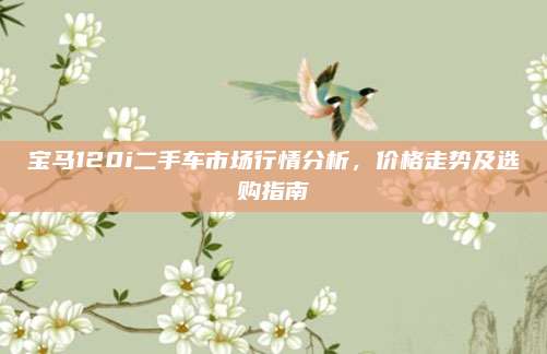 宝马120i二手车市场行情分析,价格走势及选购指南