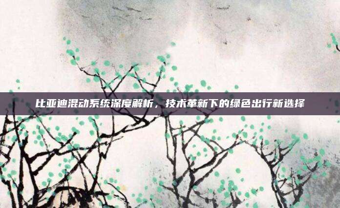 比亚迪混动系统深度解析,技术革新下的绿色出行新选择
