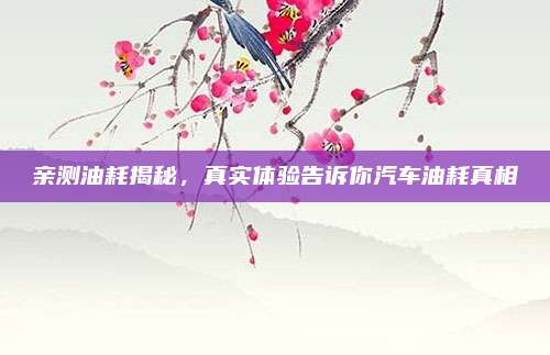 亲测油耗揭秘,真实体验告诉你汽车油耗真相