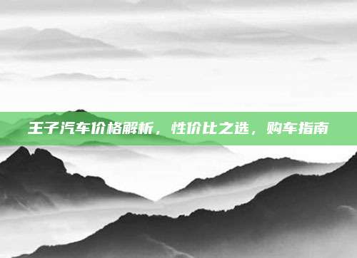 王子汽车价格解析,性价比之选,购车指南