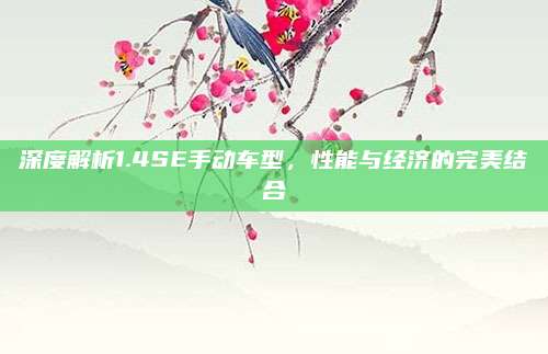 深度解析1.4SE手动车型,性能与经济的完美结合