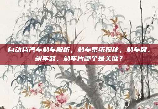 自动挡汽车刹车解析,刹车系统揭秘,刹车盘、刹车鼓、刹车片哪个是关键?