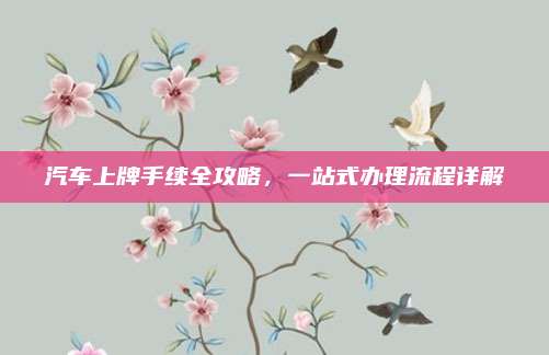 汽车上牌手续全攻略,一站式办理流程详解
