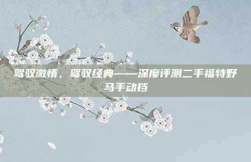 驾驭激情，驾驭经典——深度评测二手福特野马手动挡