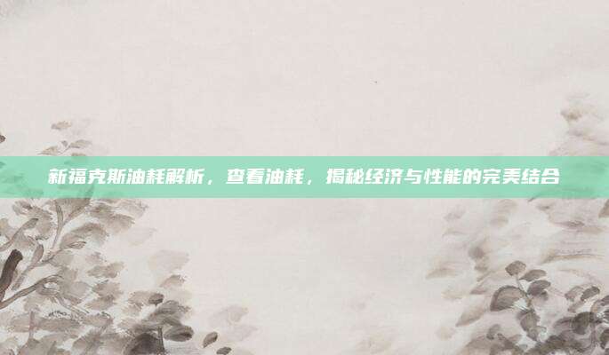 新福克斯油耗解析，查看油耗，揭秘经济与性能的完美结合