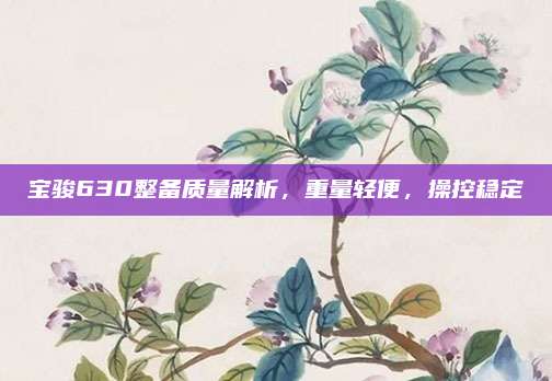 宝骏630整备质量解析，重量轻便，操控稳定