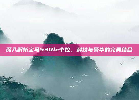 深入解析宝马530le中控,科技与豪华的完美结合