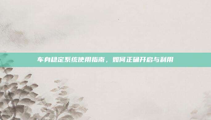 车身稳定系统使用指南,如何正确开启与利用