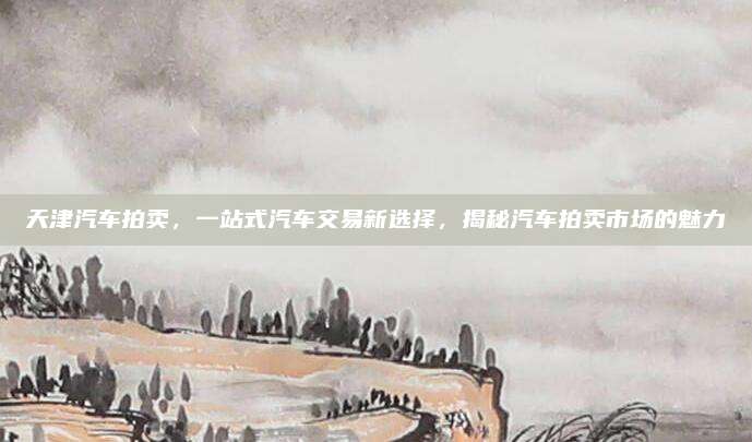 天津汽车拍卖，一站式汽车交易新选择，揭秘汽车拍卖市场的魅力
