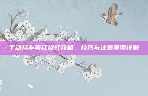 手动挡车等红绿灯攻略,技巧与注意事项详解